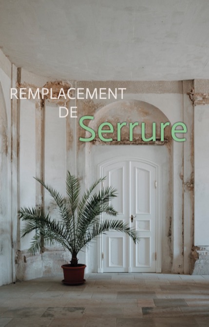 Replacement de serrure de porte Paris